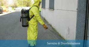 Disinfestazione Litorale Romano