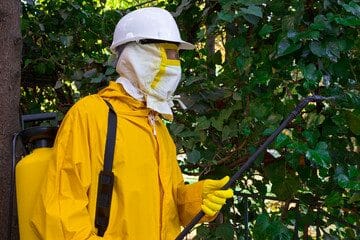 Disinfestazione Pulci