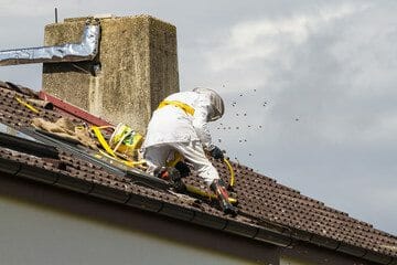 Disinfestazione Vespe